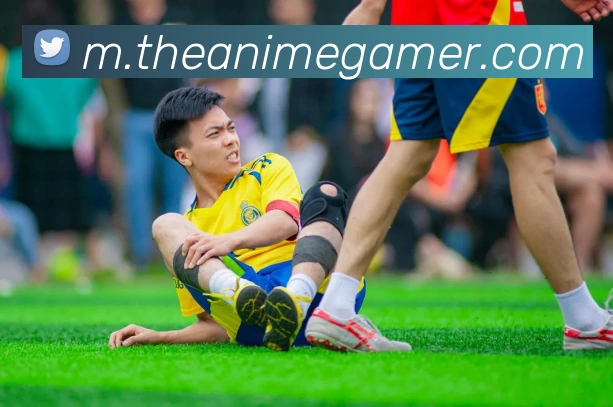 企业概况
